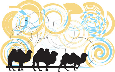 Camel illustration