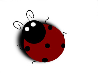 spiritosa coccinella