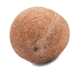 Whole coco without a shell