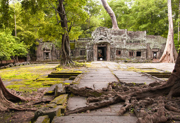 Ta Phrom, Angkor Wat, Cambodia.