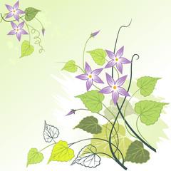 Purple Lily and foliage