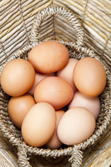 conjunto de huevos organicos