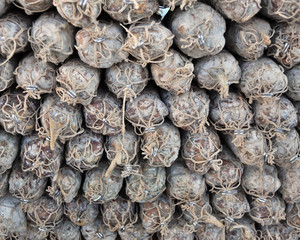 Cacciatorini al tartufo