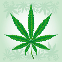 Cannabis / Marijuana / Hemp leaf detailed