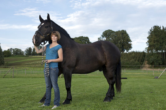 Frau mit Kaltblut Pferd