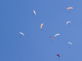 Gleitschirmflieger in der Ortenau