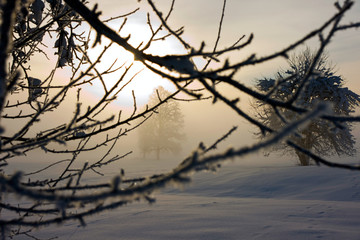 Misty winter sunrise