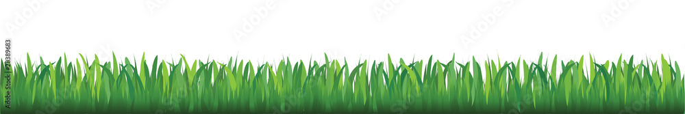 Sticker grass