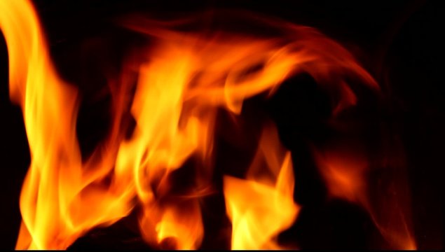 feu de bois