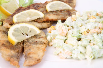 Fried fish with side salad decorated with lemon