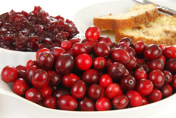 Fresh red cranberries