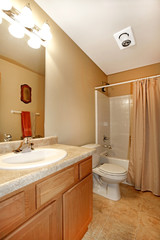 Fototapeta na wymiar Bathroom with maple cabinets