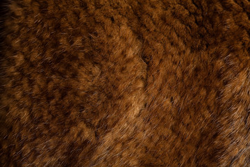 mink texture
