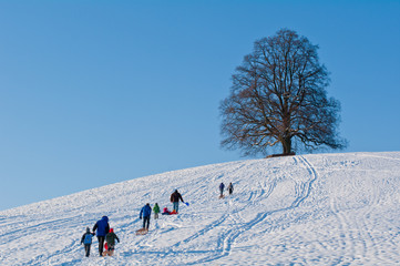 Schlitten Fahren im Winter