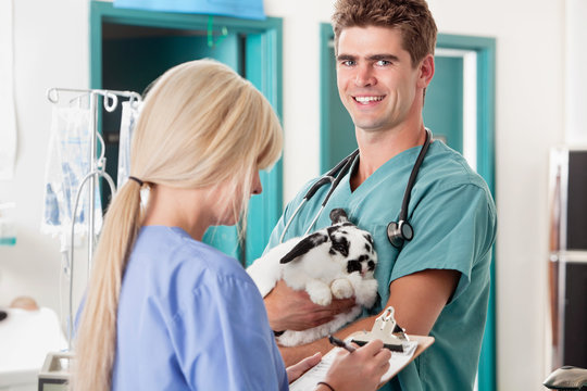 Veterinarian holding rabbit
