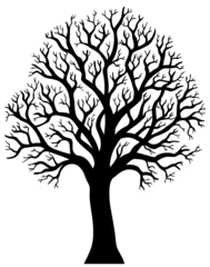 Wall murals For kids Silhouette of tree without leaf 2