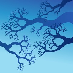Tree branches with blue sky