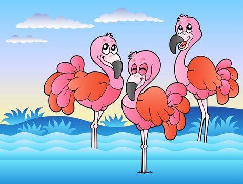 Three flamingos standing in water