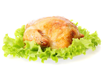 Roast chicken, isolated.