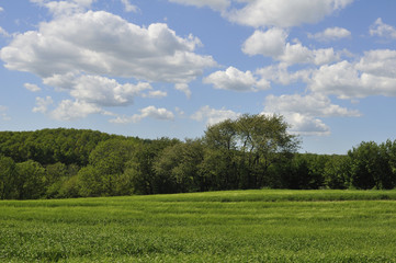 Fototapeta na wymiar Summer clouds ower pastoral landscape, Östrerlen Sweden