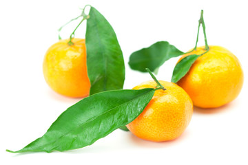 mandarin with green leaves isolated on white
