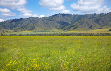 Fototapeta premium green valley
