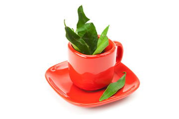 green leaf in the cup is isolated on a white