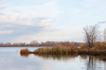 Beautiful autumn landscape with peaceful backwater