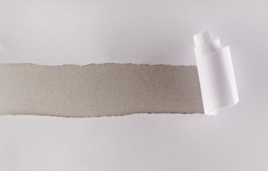 White paper torn revealing gray cardboard layer