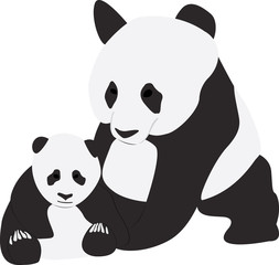 Two Giant pandas on white background