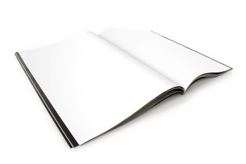 Blank Magazine Spread - Left Page