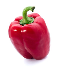 One red pepper