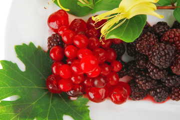 sweet wild served berry's