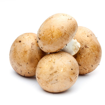 Champignons