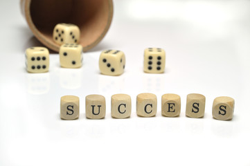 Success  #101213-022