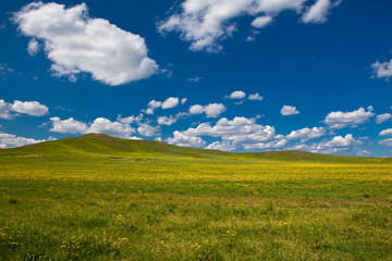 Landscape of grassland in Inner Mongolia