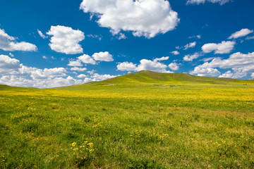 Landscape of grassland in Inner Mongolia