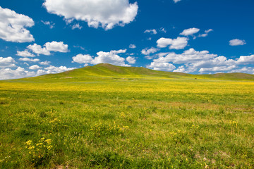 Obraz premium Landscape of grassland in Inner Mongolia