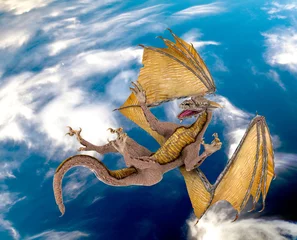 Sierkussen draak blauwe lucht vallen © DM7