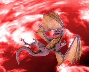 Foto op Plexiglas draak rode lucht vallen © DM7