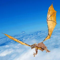 Plexiglas foto achterwand draak grijpt in de lucht © DM7