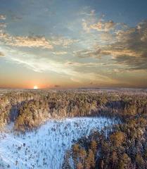 Sonnenuntergang im tiefen Wald © George Spade