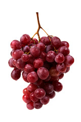 grape