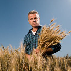 Farmer with bunch of wheat © Rido