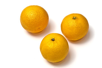 Fresh oranges