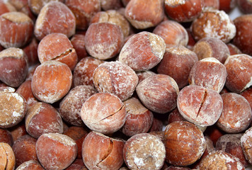 hazelnut with salt