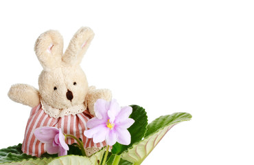 Toy little doe rabbit with violet flowers izolated on white