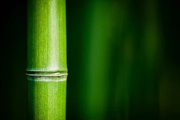 Rolgordijnen Bambou zen © Beboy