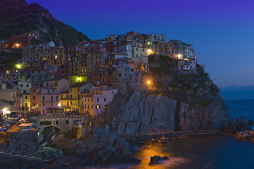 Manarola by night