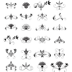 Vector large set of floral design elements